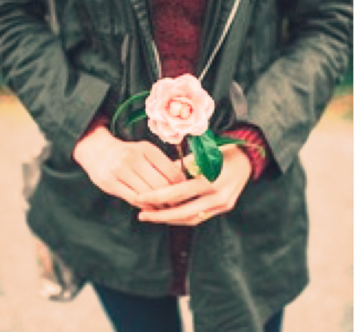 Rose in Hand
